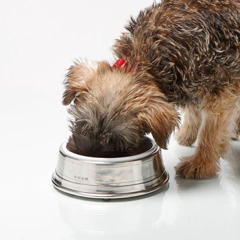 Convivio White Enamel Pet Bowl - 18 cm Diameter - Handcrafted in Italy - Pewter & Enamel
