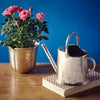 Zefiro Watering Can - 90 cl - Handcrafted in Italy - Pewter Zefiro Watering Can - 90 cl - Handcrafted in Italy - Pewter